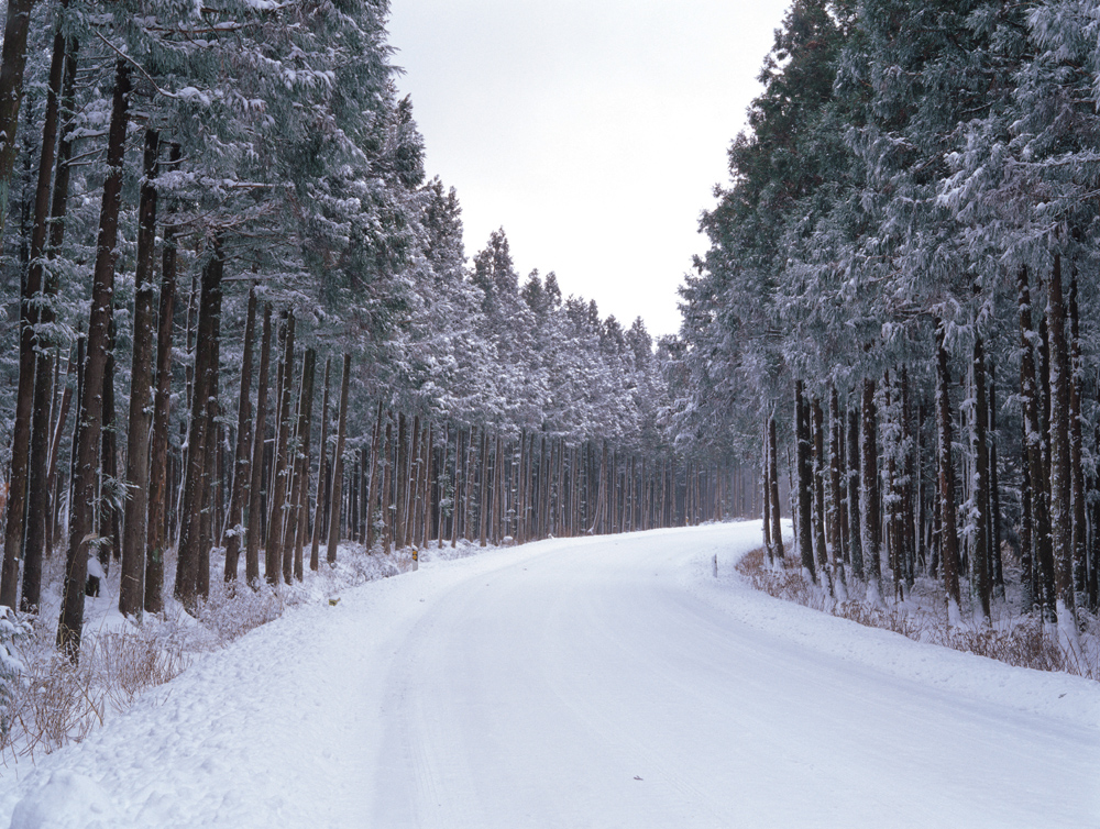 Be More Like&nbsp;Jesus