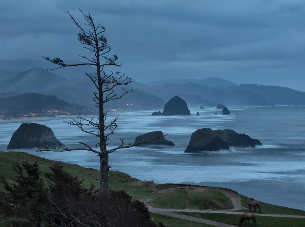 Does God Want Me to be Happy?